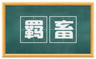 羁畜
