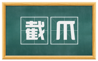 截爪
