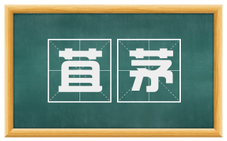 苴茅