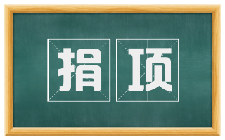 捐项