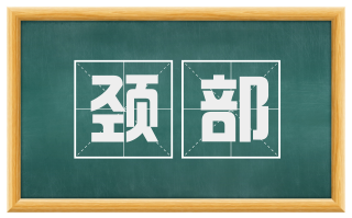 颈部