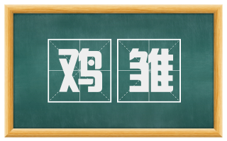 鸡雏