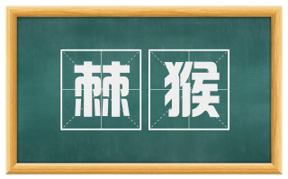 棘猴