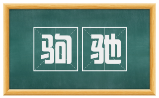 驹驰