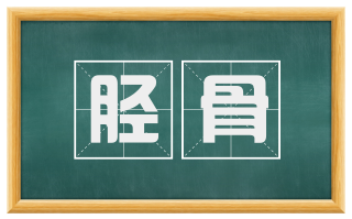 胫骨