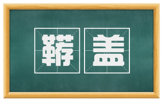 鞯盖