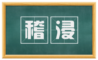 稽浸