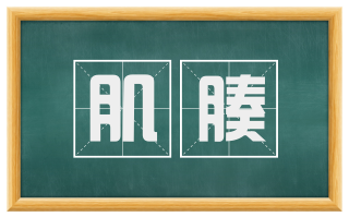 肌腠