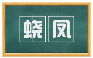 蛟凤