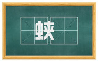 蛱蜨