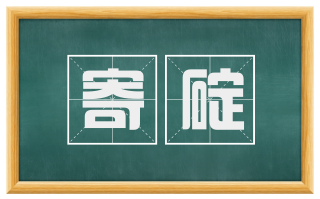 寄碇