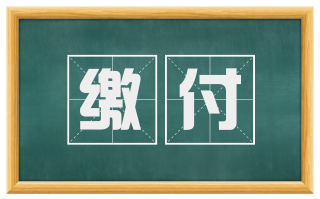 缴付