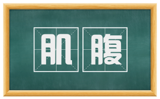 肌腹