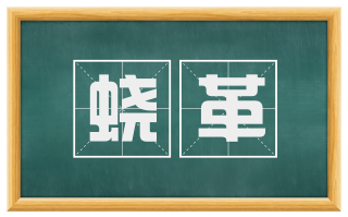 蛟革