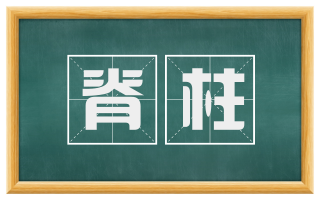 脊柱