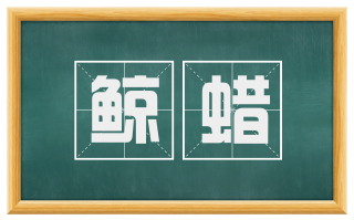鲸蜡