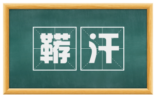 鞯汗