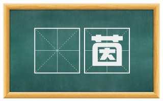 罽茵