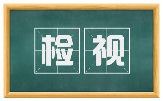 检视