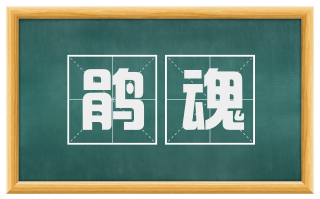 鹃魂