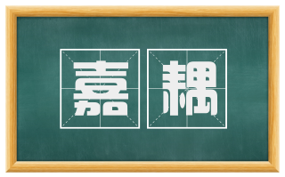 嘉耦