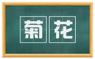 菊花