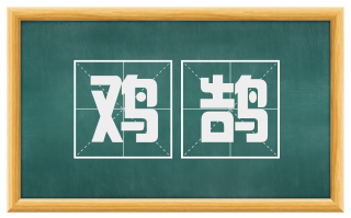 鸡鹄