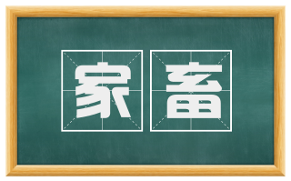 家畜