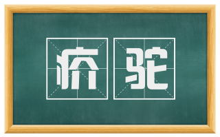 疥驼