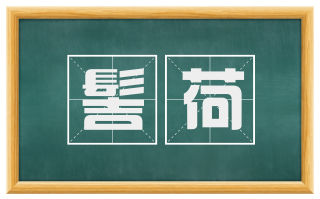 髻荷