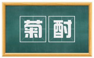 菊酎