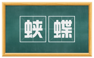蛱蝶