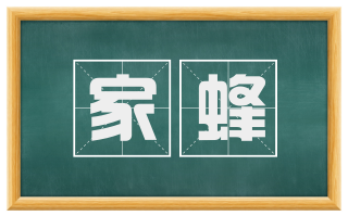 家蜂