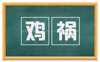 鸡祸