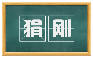 狷刚