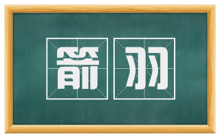 箭羽