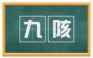九陔