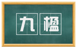 九楹