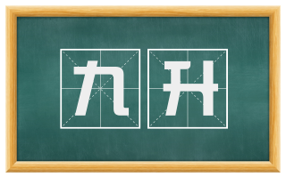 九升