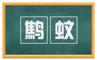 鹪蚊