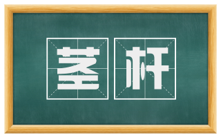 茎杆