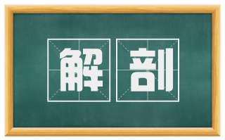 解剖