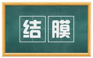 结膜