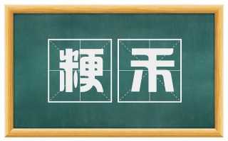 粳禾