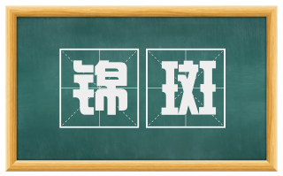 锦斑