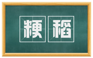 粳稻