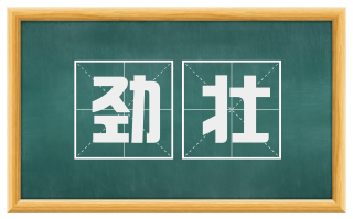 劲壮