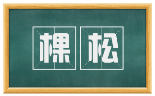 棵松