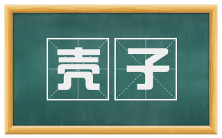 壳子