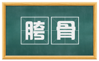 胯骨